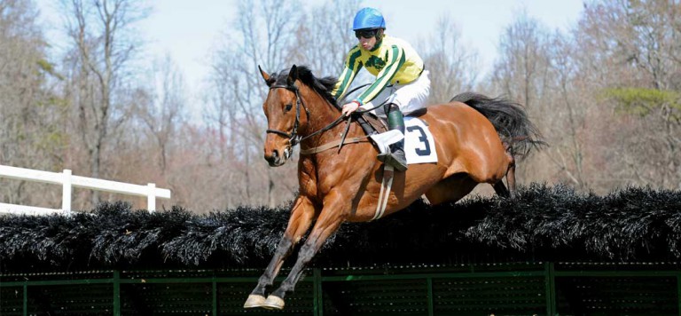 warrenton-hunt-point-to-point-races-virginia-horse-racing