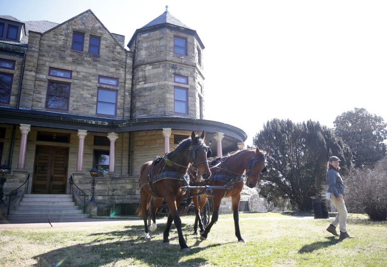 Pair Of Retired Standardbreds Find New Life At Maymont Park In Richmond