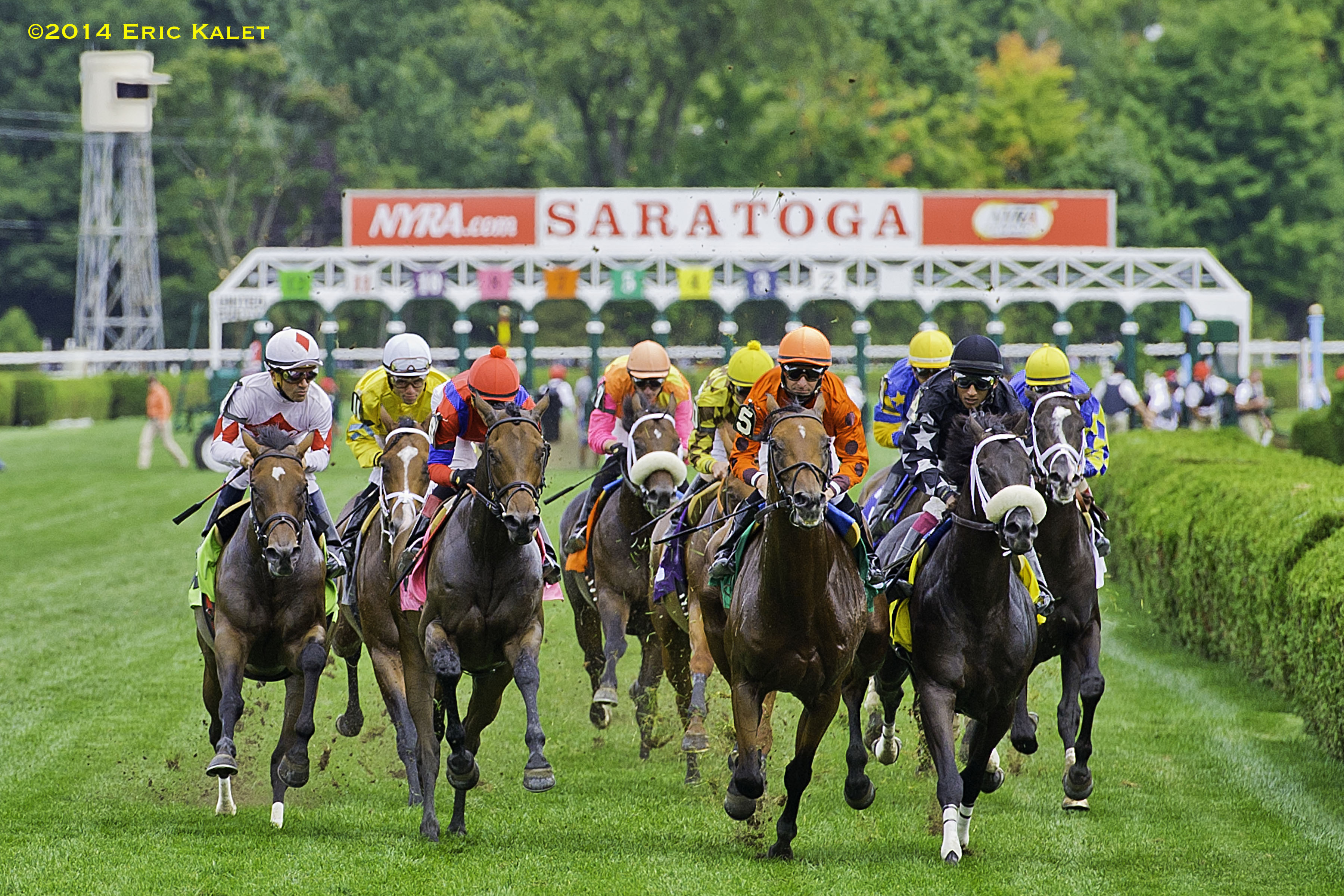 Travers Day Simulcast With 6 Grade I Stakes From Saratoga Virginia 