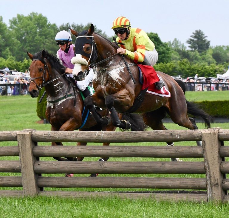 Virginia Gold Cup Races at Great Meadow in The Plains Virginia Horse