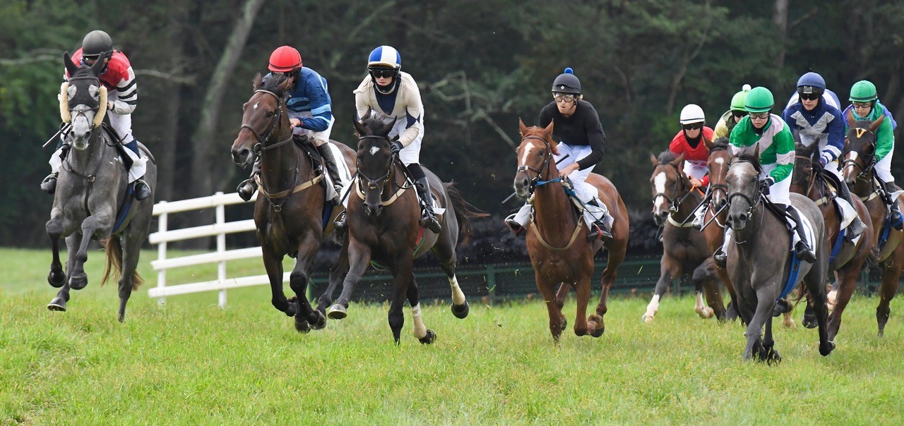Scenes From the Sept. 12 Old Dominion Hounds PointtoPoint Races