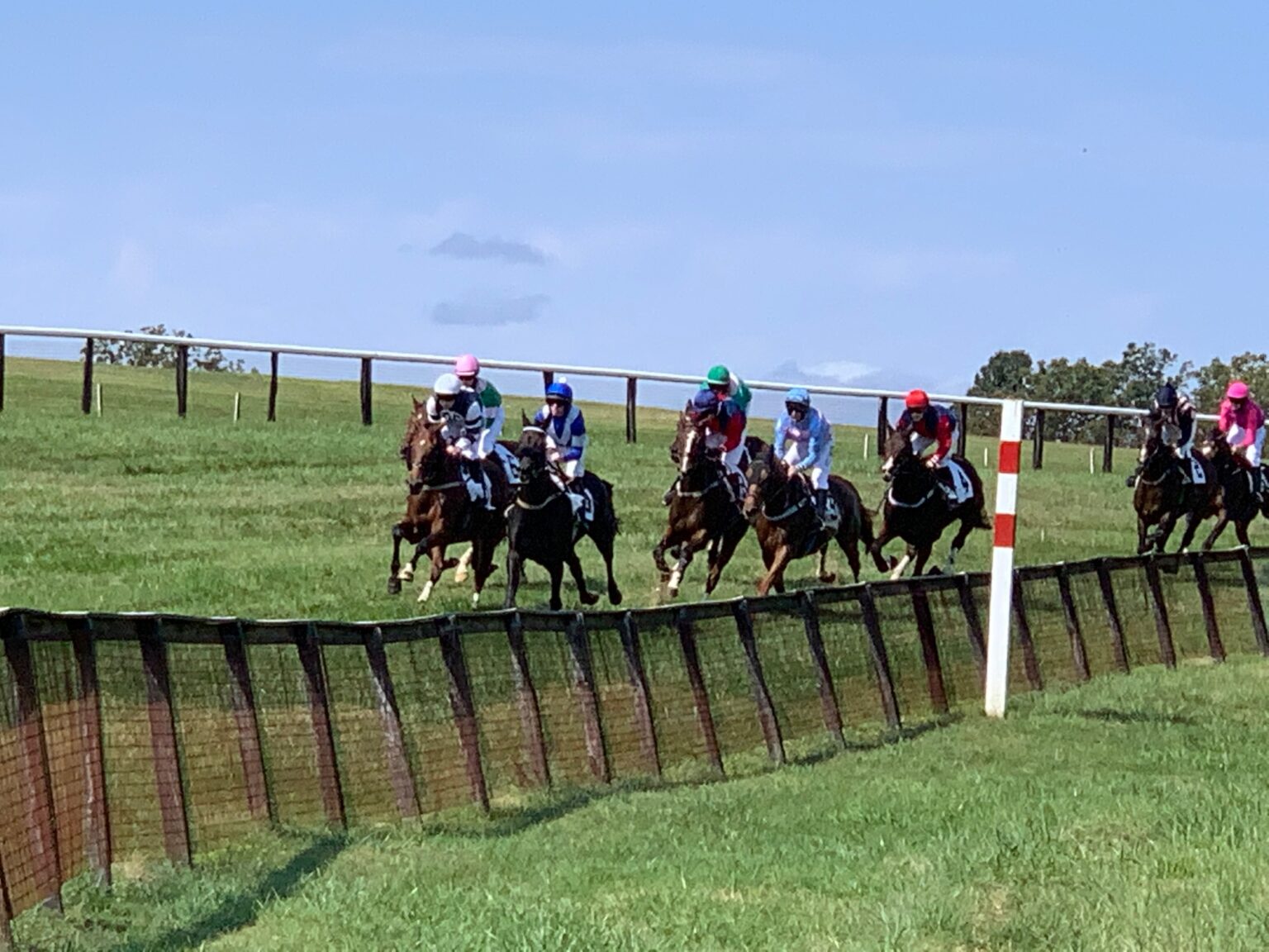 Foxfield To Focus Efforts On Fall Races In 2021 Virginia Horse Racing