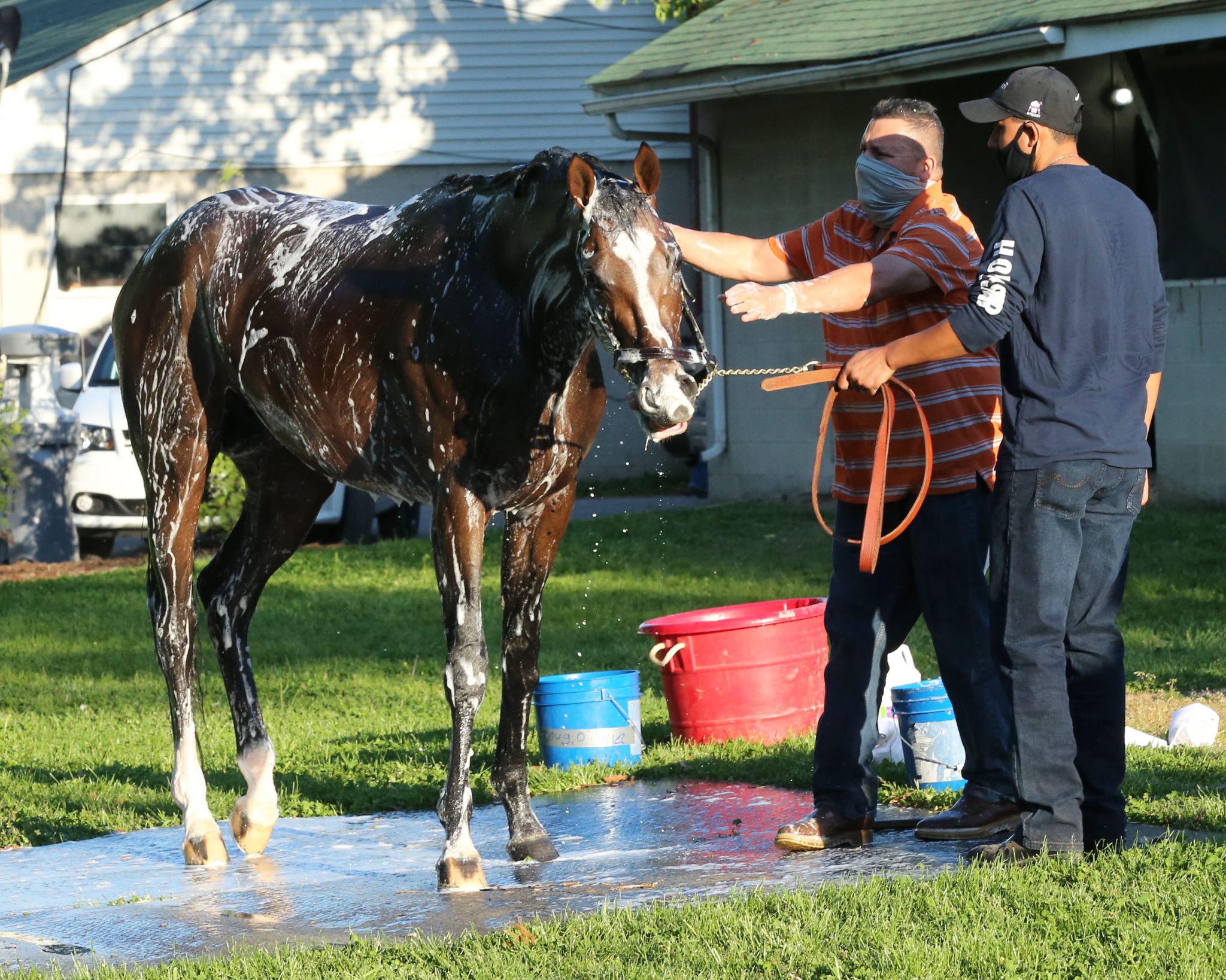 Field For May 1 Kentucky Derby Led By 21 Favorite, Essential Quality