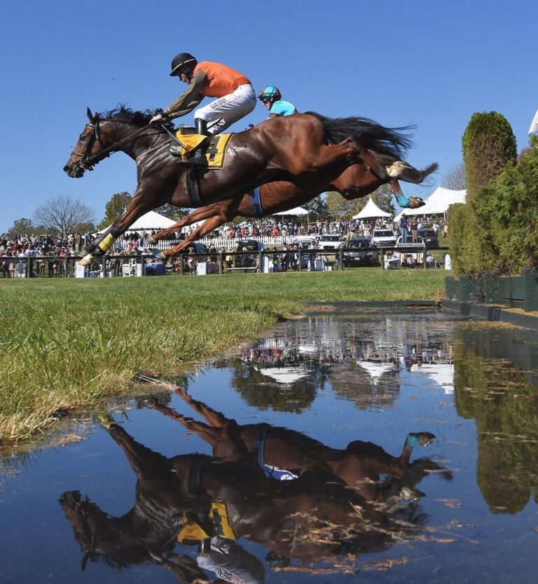 virginia-steeplechase-point-to-point-meet-schedule-announced-for-2023
